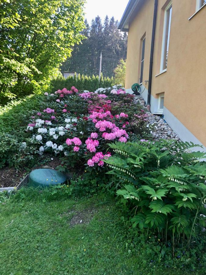 Am Wildbach Bei Passau Apartment Saming Exterior foto