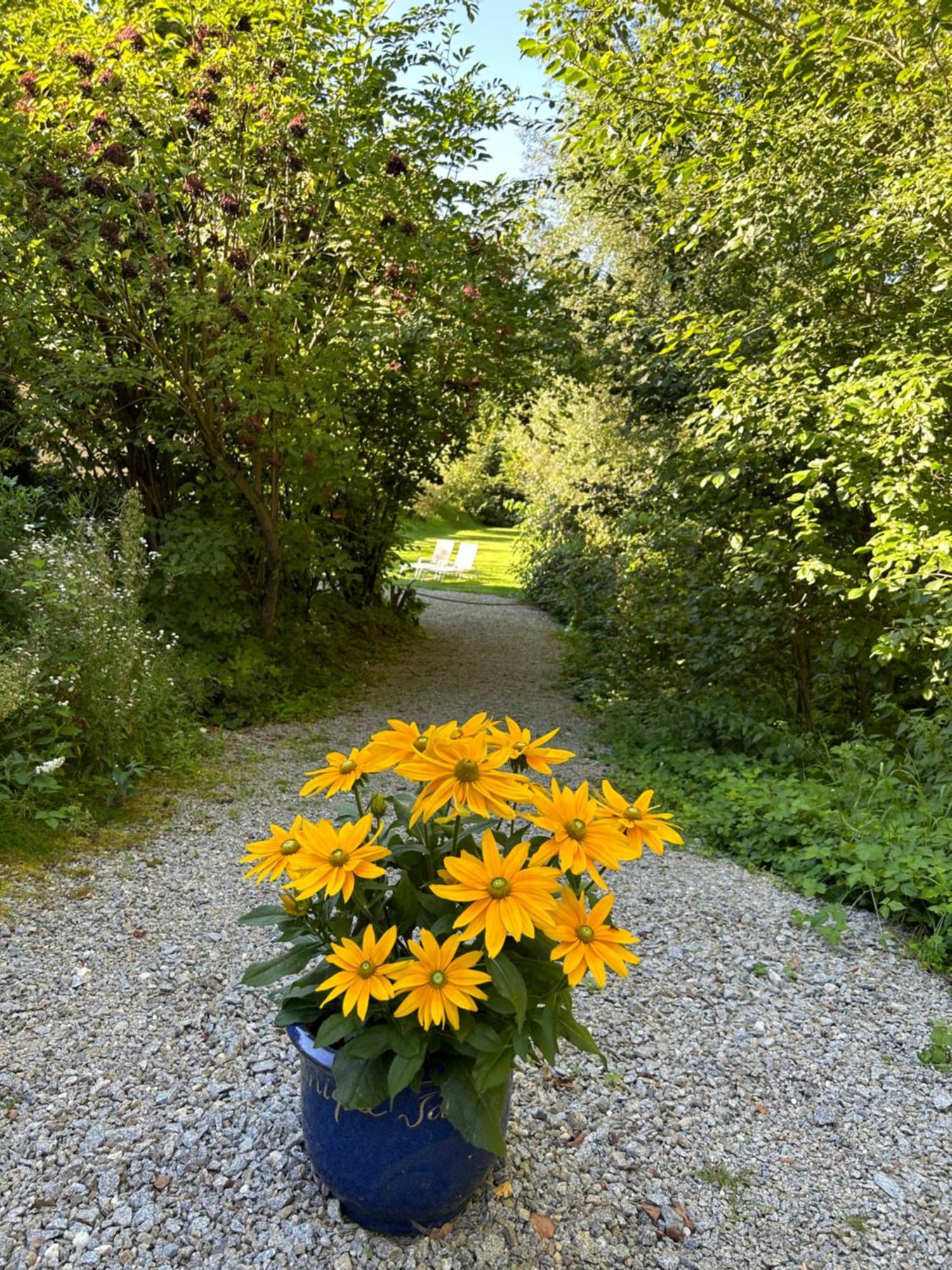 Am Wildbach Bei Passau Apartment Saming Exterior foto